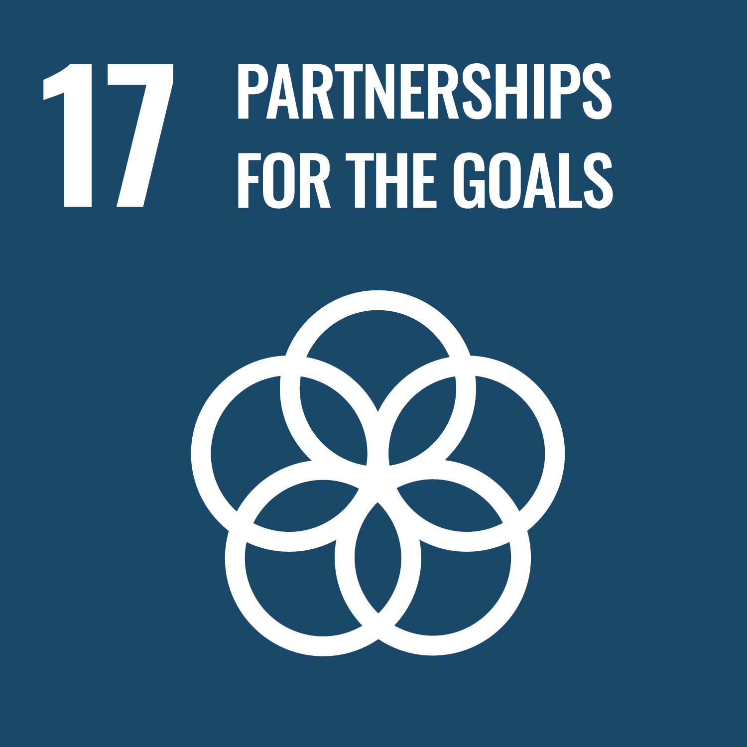 SDG 17: 夥伴關係